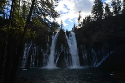 DSC_5951 (Large).JPG